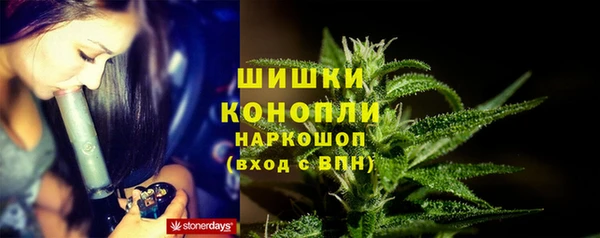 ECSTASY Пересвет