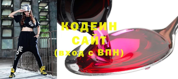 ECSTASY Пересвет