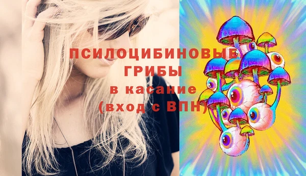 ECSTASY Пересвет