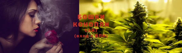 индика Фурманов