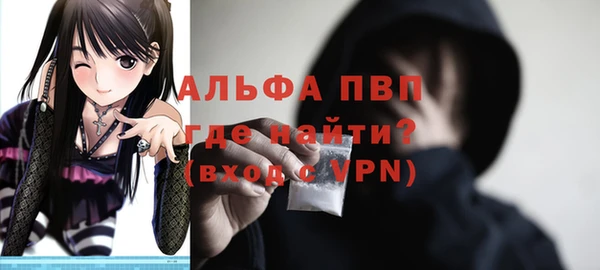 ECSTASY Пересвет