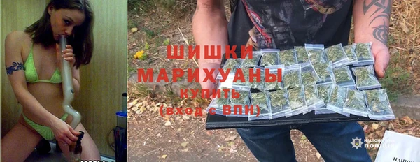прущие крисы Почеп