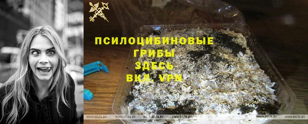спиды Пестово