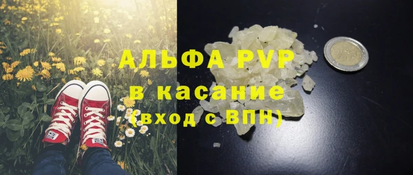 спиды Пестово