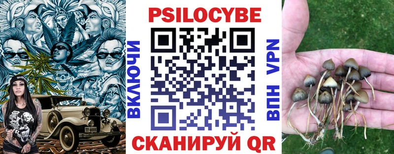 Галлюциногенные грибы MAGIC MUSHROOMS  OMG рабочий сайт  Боровичи 