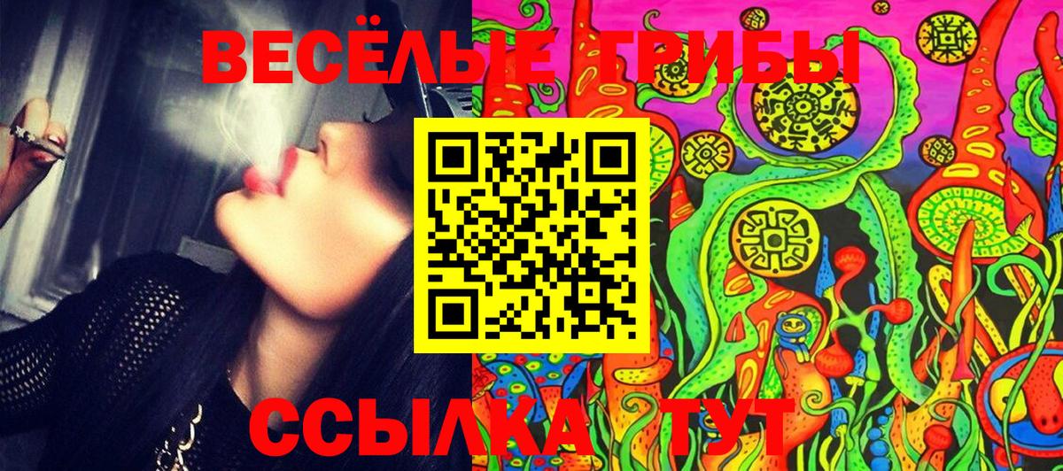 Псилоцибиновые грибы GOLDEN TEACHER  Псилоцибиновые грибы ЛСД  Вход с VPN  Боровичи 