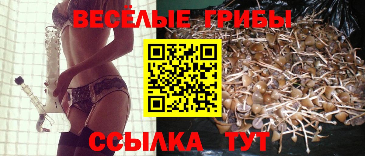 Галлюциногенные грибы Magic Shrooms Боровичи